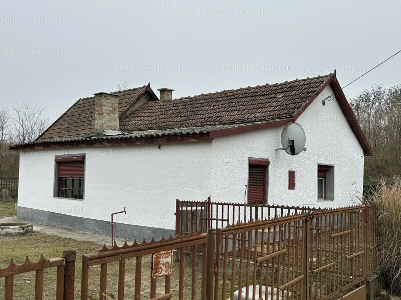 Hirdetés fotója