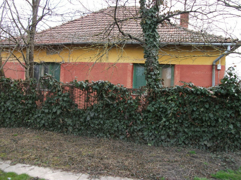 Hirdetés fotója