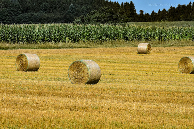 Hirdetés fotója