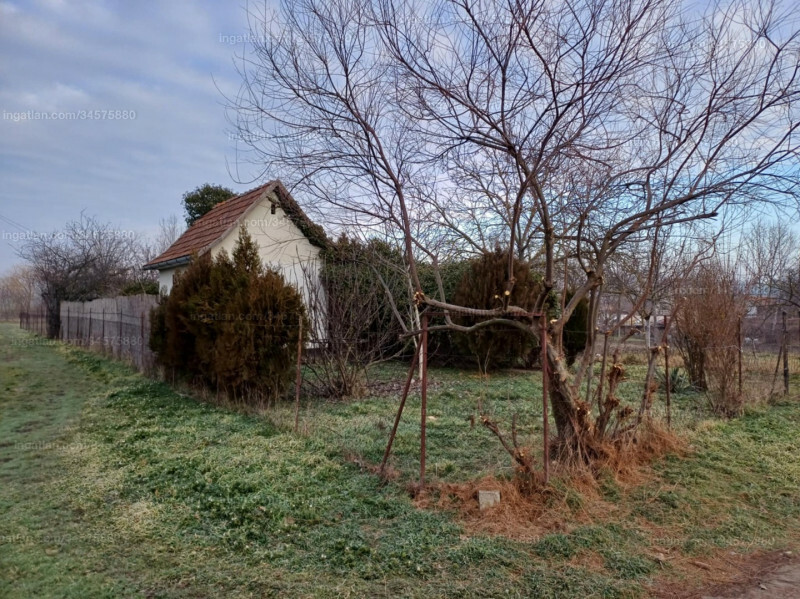 Listing photo
