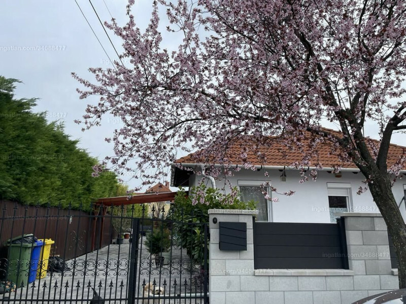 Hirdetés fotója