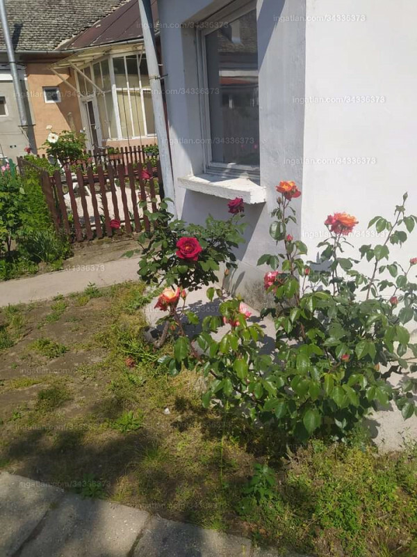 Foto auflisten