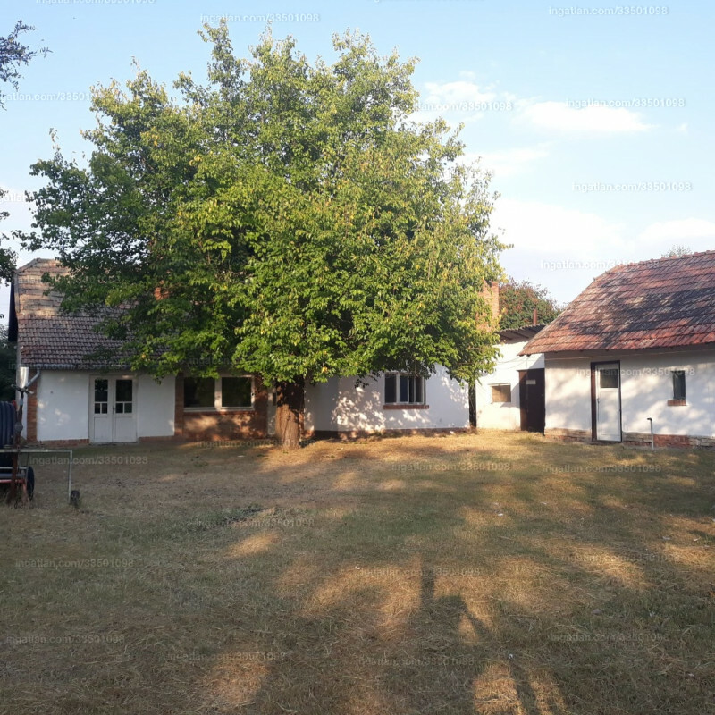 Ingatlan kép