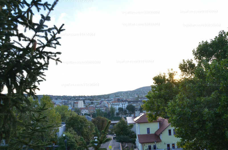 Foto auflisten