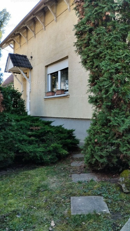 Foto auflisten