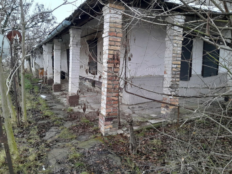 Hirdetés fotója