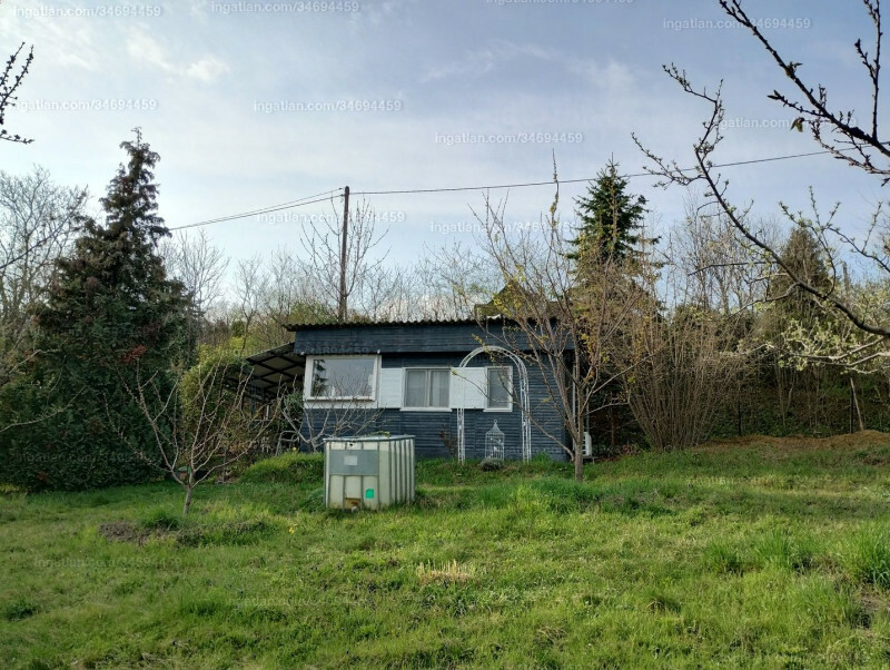 Hirdetés fotója