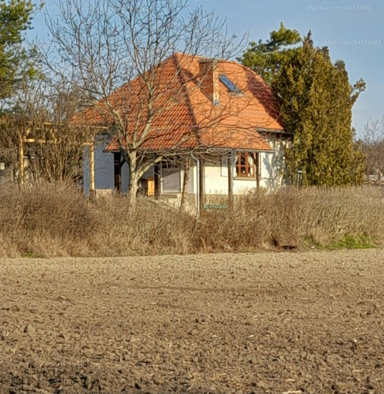 Hirdetés fotója