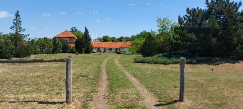 Foto auflisten