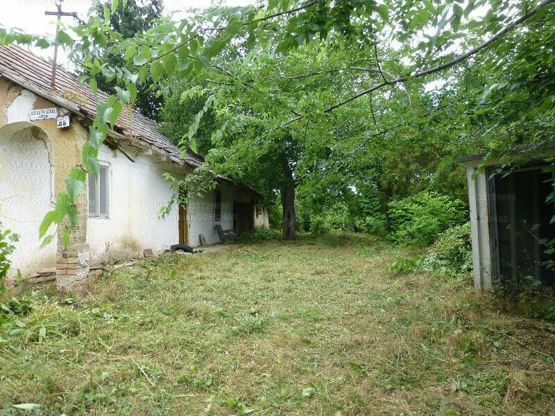 Ingatlan kép