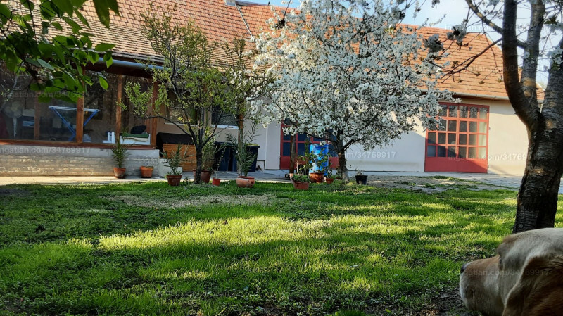 Foto auflisten