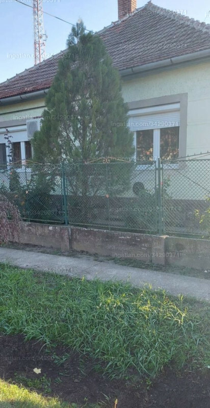 Hirdetés fotója