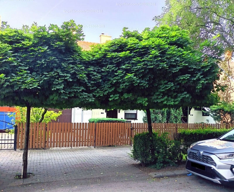 Foto auflisten