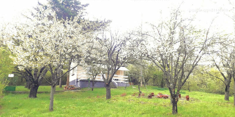 Hirdetés fotója