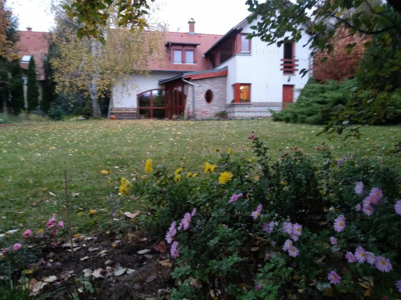Hirdetés fotója